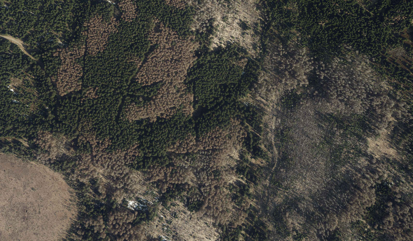 Westlich der Brockenkuppe